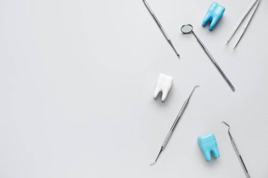 Beyaz arka planda diş aletleri olan diş modelleri. Dünya Diş Hekimi Günü