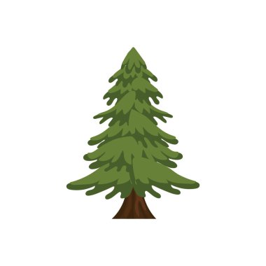 Beyaz arkaplanda köknar ağacı çiz