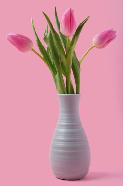 Pembe arka planda güzel laleleri olan vazo. Uluslararası Kadınlar Günü