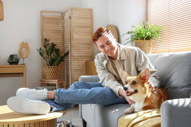 Evdeki kanepede dinlenen sevimli Corgi köpeği olan kızıl saçlı mutlu genç adam.