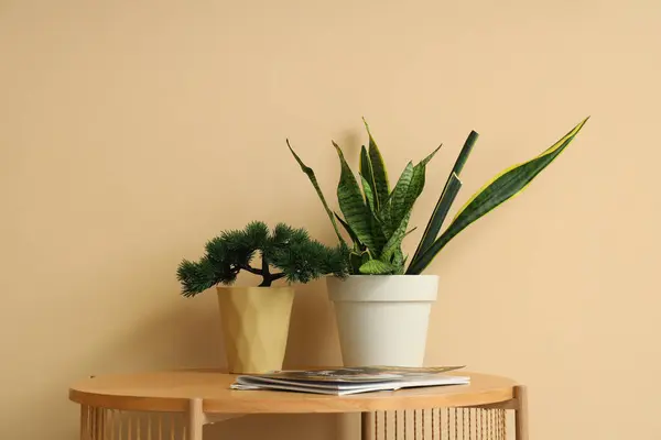 Plants with magazines on table near beige wall