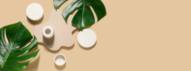 Plaster podyumlar ve canavar yaprakları bej arkaplanda metin için boşluk ile