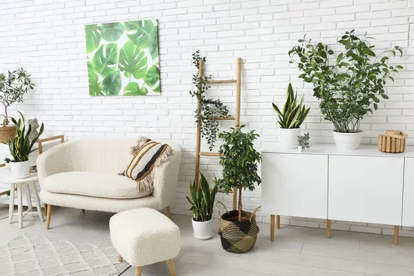 Interior of modern living room with white sofa and different houseplants
