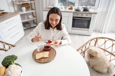 Mutlu genç kadın tekerlekli sandalyede Pomeranya köpeğiyle evde reçel sürüyor.