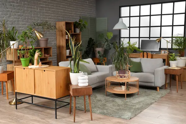 Interior of living room with plants, sofas and tables