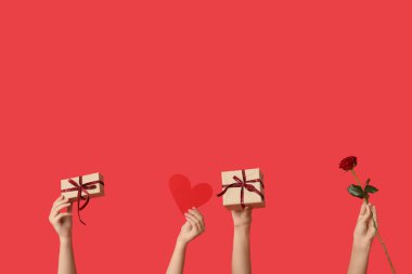 Hediye kutularıyla kadın elleri, kırmızı arka planda güzel gül ve kağıt kalp. Sevgililer Günü kutlaması