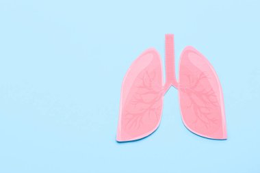 Mavi arka planda kağıt ciğerler