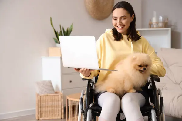Sporty young woman in wheelchair with laptop and Pomeranian dog at home