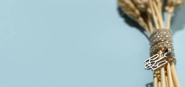 Açık mavi zemin üzerinde buğday dikenleri ve Ukrayna arması arması metin için boşluk