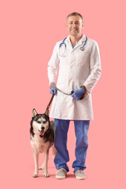 Pembe arka planda sevimli köpekli bir erkek veteriner.