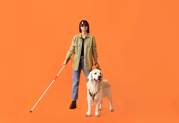 Blinde Vrouw Met Geleidehond Oranje Achtergrond — Stockfoto