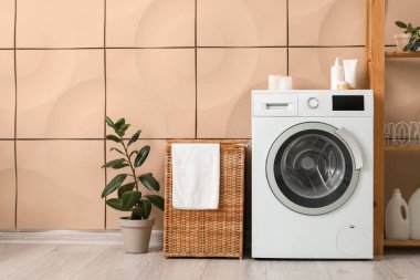 Çamaşır sepetinin, çamaşır makinesinin ve bitkinin olduğu odanın içi.