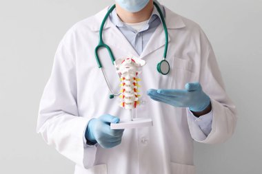 Erkek doktor gri arka planda omurga modeli gösteriyor.