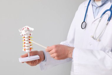 Erkek doktor gri arka planda omurga modeliyle omurilik anatomisi gösteriyor.