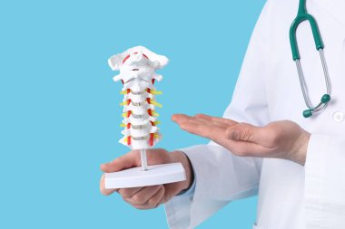 Erkek doktor, mavi arka planda omurga modeli gösteriyor.