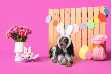 Paskalya pastası, hediye yumurtası, güzel laleler ve mor arka planda ahşap çitle tavşan kulaklı şirin cocker spaniel.