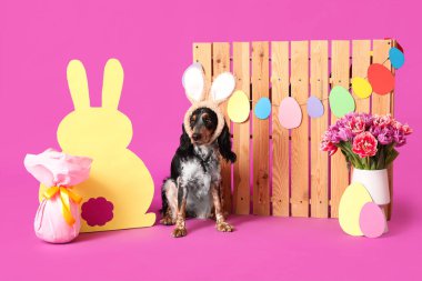 Paskalya hediyesi yumurtası, kağıttan tavşan, güzel laleler ve mor arka planda ahşap çitle tavşan kulaklı şirin cocker spaniel.
