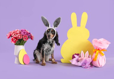 Paskalya pastası, hediye yumurtası, kağıttan tavşan ve leylak arka planda güzel laleler ile tavşan kulaklı şirin cocker spaniel.