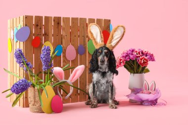 Paskalya pastası, kağıt yumurta, güzel çiçekler ve pembe arka planda ahşap çitle tavşan kulaklı şirin cocker spaniel.