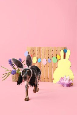 Paskalya pastası, kağıt tavşan, güzel çiçekler ve pembe arka planda ahşap çitle tavşan kulaklı şirin cocker spaniel.
