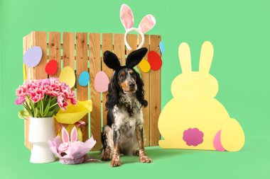 Paskalya pastası, kağıt tavşan, güzel laleler ve yeşil arka planda ahşap çitle tavşan kulaklı şirin cocker spaniel.