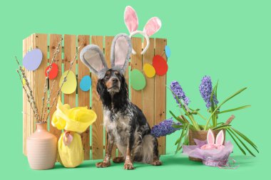 Paskalya pastası, hediye yumurtası, söğüt dalları, güzel çiçekler ve yeşil arka plandaki ahşap çitle tavşan kulaklı şirin cocker spaniel.