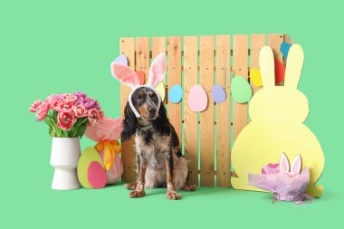 Paskalya pastası, hediye yumurtası, kağıt tavşan, güzel laleler ve yeşil arka plandaki ahşap çitle tavşan kulaklı şirin cocker spaniel.