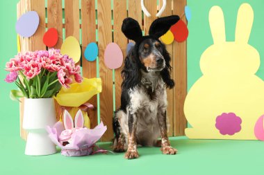 Paskalya pastası, kağıt tavşan, güzel laleler ve yeşil arka planda ahşap çitle tavşan kulaklı şirin cocker spaniel.