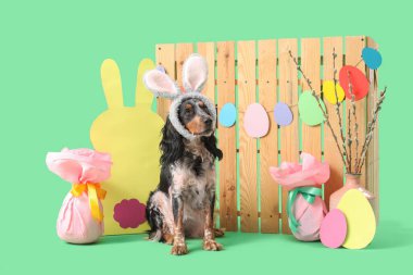 Paskalya hediyesi yumurtalar, kağıt tavşanlar, söğüt dalları ve yeşil arka planda ahşap çitlerle tavşan kulaklı şirin cocker spaniel.