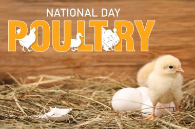 Banner for National Poultry Day with cute chick clipart