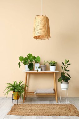Green plants on table near beige wall in room