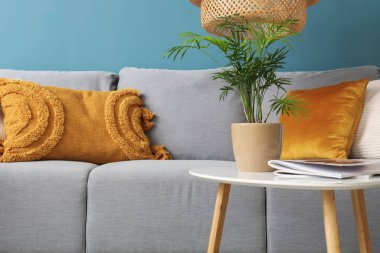 Oturma odasında yastıkları olan rahat gri kanepe.