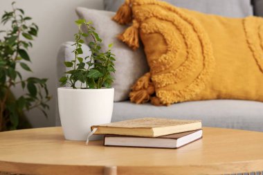 Oturma odasında bitki ve kitap olan bir sehpa.