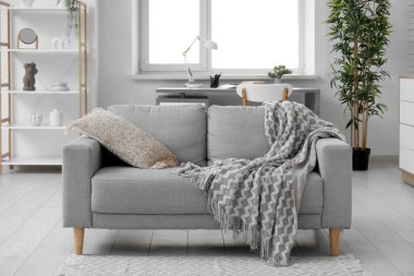 Oturma odasında ekose ve yastıklı modern kanepe.