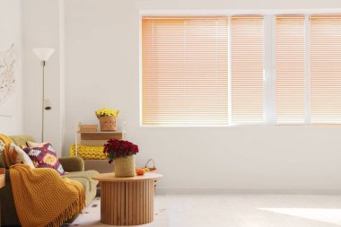 Oturma odasının içinde yeşil kanepe, kasımpatı çiçekleri ve sehpanın üzerinde balkabakları.