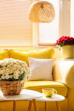 Bir buket güzel kasımpatı çiçeği ve bir fincan çay oturma odasındaki sehpanın üzerinde, yakın plan.