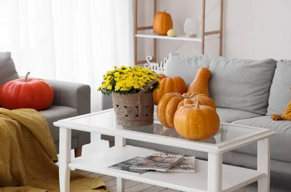 Chrysanthemum Flowers Pumpkins Table Living Room — Stock Photo, Image