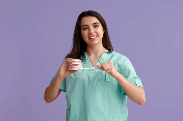Dentista Femenina Con Modelo Mandíbula Cepillo Dientes Sobre Fondo Morado — Foto de Stock