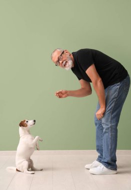 Yaşlı adam yeşil duvarın yanında sevimli köpekle oynuyor.