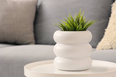 Evdeki şık gri kanepenin yanındaki taburede, yakın plan.