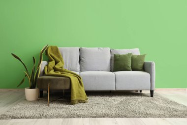 Yastıklı, battaniyeli ve yeşil duvarlı şık gri kanepe.