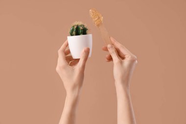 Kahverengi arka planda şekerli spatula ve kaktüs tutan kadın elleri.