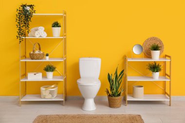 Ev bitkileri ve turuncu duvarın yanında seramik klozeti olan şık bir banyo.