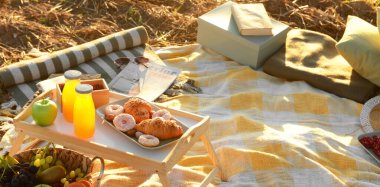 Gün batımında piknik için meyve suyu şişeleriyle ekose ve atıştırmalıklar.