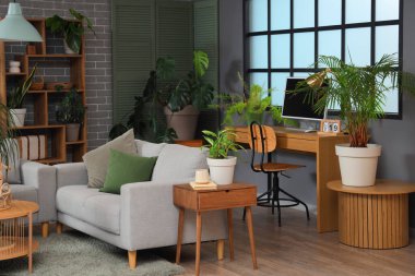 Oturma odasında bitkiler, kanepe ve işyeri var.