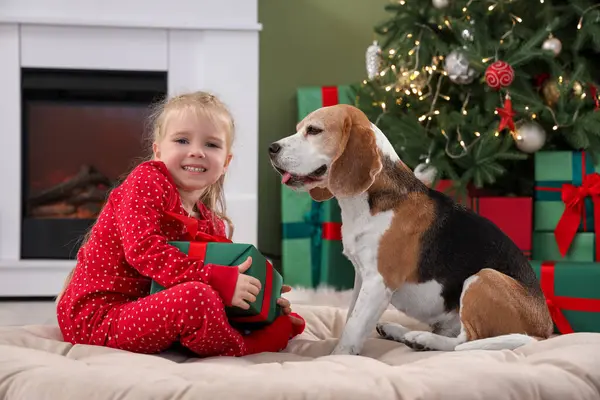 Nettes Kleines Mädchen Mit Geschenk Und Beagle Hund Hause Heiligabend — Stockfoto