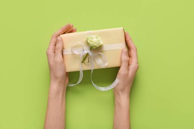 Hediye kutusu olan kadın eller ve yeşil arka planda güzel beyaz bir gül. Uluslararası Kadınlar Günü