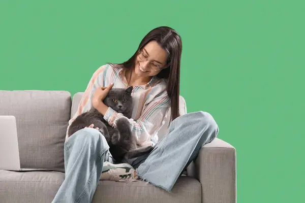 stock image Young woman with cute British Shorthair cat sitting on sofa against green background