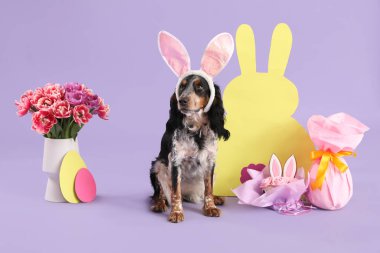 Paskalya pastası, hediye yumurtası, kağıttan tavşan ve leylak arka planda güzel laleler ile tavşan kulaklı şirin cocker spaniel.