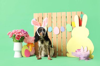 Paskalya pastası, hediye yumurtası, kağıt tavşan, güzel laleler ve yeşil arka plandaki ahşap çitle tavşan kulaklı şirin cocker spaniel.